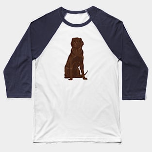 Chocolate brown labrador retriever Baseball T-Shirt